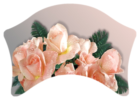 DABAN-062 Bouquet Of Roses Peach